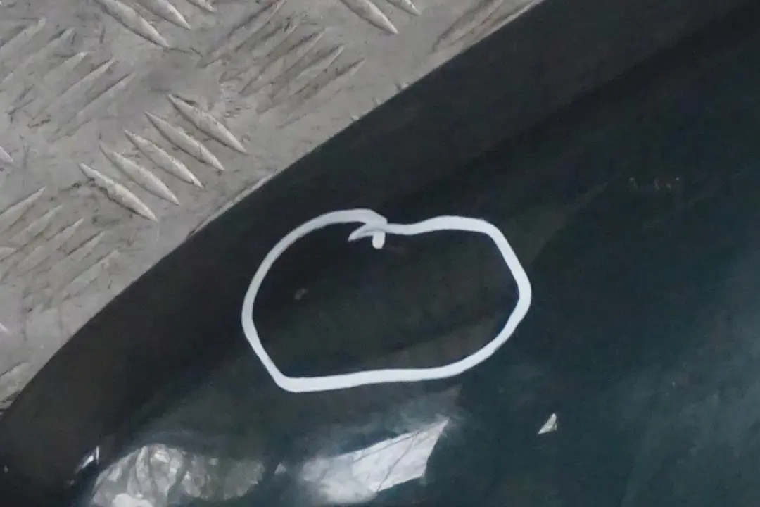 Side Panel Wing Fender Front Left N/S Oxfordgreen Green 430 to BMW X5 Series E53 1 with Part number 7000385 BMW X5 Series E53 1 Side Panel Wing Fender Front Left N/S Oxfordgreen Green 430 - SKU 7000385-OXF1 - Part number 7000385