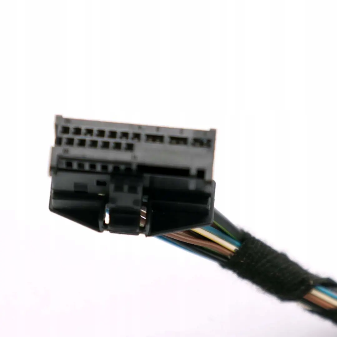 BMW E66 Puerta Trasera Izquierda Cableado Mazo Modulo Portador - SKU 6950384 - Número de pieza 6950384