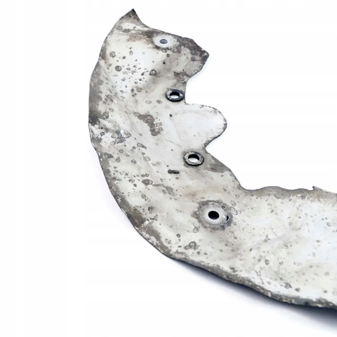Protection Cover Plate Brake Disc Front Left N/S 6767693 to BMW 6 Series E63 E64 with Part number 6767691 BMW 6 Series E63 E64 Protection Cover Plate Brake Disc Front Left N/S 6767693 - SKU 6767691 - Part number 6767691
