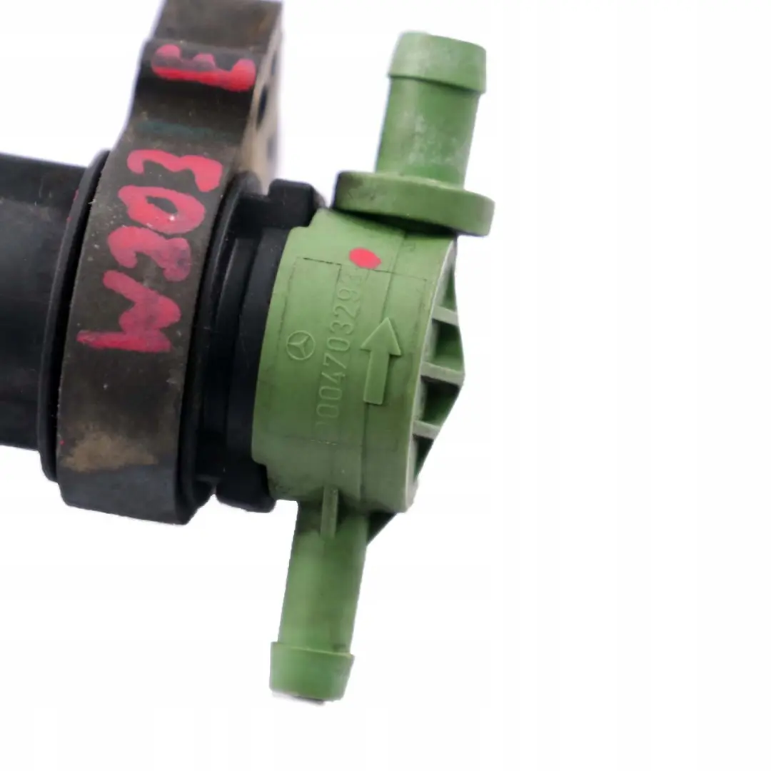 Valvola Spurgo Pompa Rigenerazione Carburante per Mercedes S203 W203 con numero di parte A0004703293 Mercedes S203 W203 Valvola Spurgo Pompa Rigenerazione Carburante - SKU A0004703293 - Numero di parte A0004703293