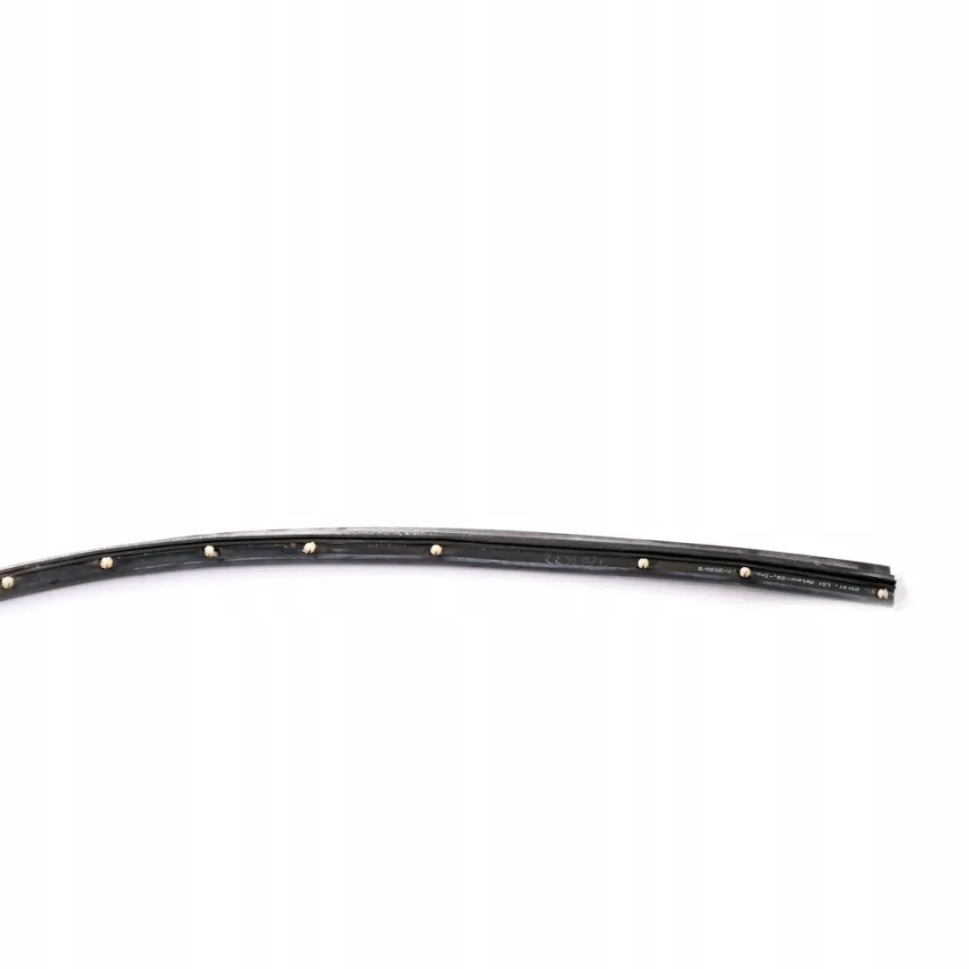 BMW Z4 E89 Tür Vorne Rechts Fugenabdichtung 5133 - SKU 7203672 - Teilenummer 7203672