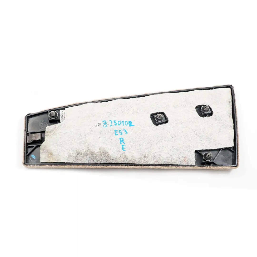 Right Center Console Trim Panel Beige Hellbeige to BMW X5 Series E53 Rear with Part number 8250102 BMW X5 Series E53 Rear Right Center Console Trim Panel Beige Hellbeige - SKU 8250102 - Part number 8250102