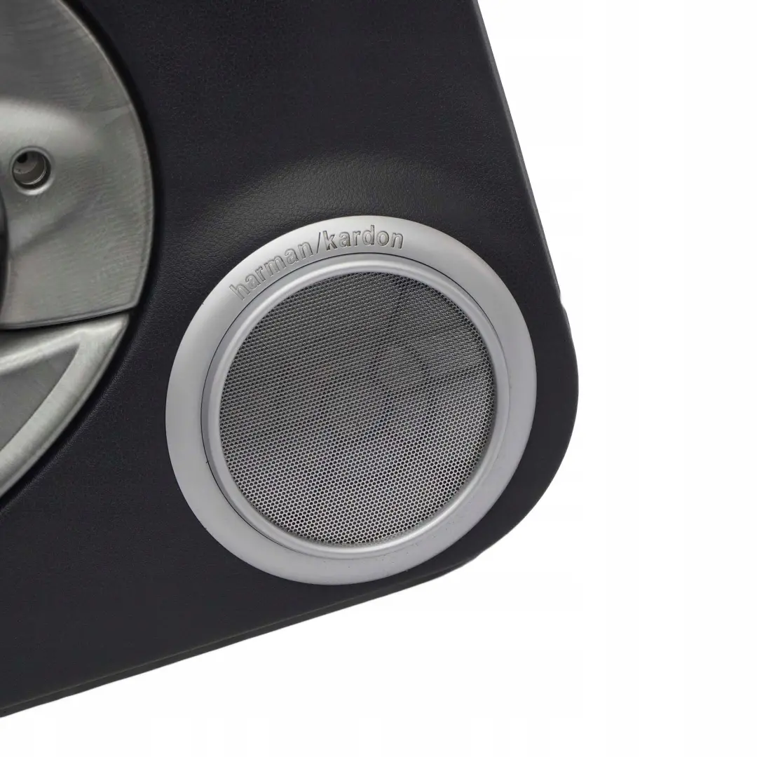 Front Left Door Card Side Trim Harman Kardon Panther Alloy Patina to Mini R50 R53 with Part number 7141279 Mini R50 R53 Front Left Door Card Side Trim Harman Kardon Panther Alloy Patina - SKU 7141279-1 - Part number 7141279