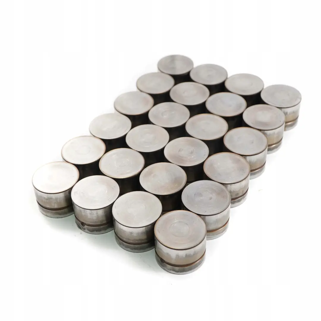 M54 Camshaft Hydraulic Valve Tappet Set to BMW 5 7 X3 X5 E53 E60 E65 E83 with Part number 1748884 BMW 5 7 X3 X5 E53 E60 E65 E83 M54 Camshaft Hydraulic Valve Tappet Set - SKU 1748884-1 - Part number 1748884