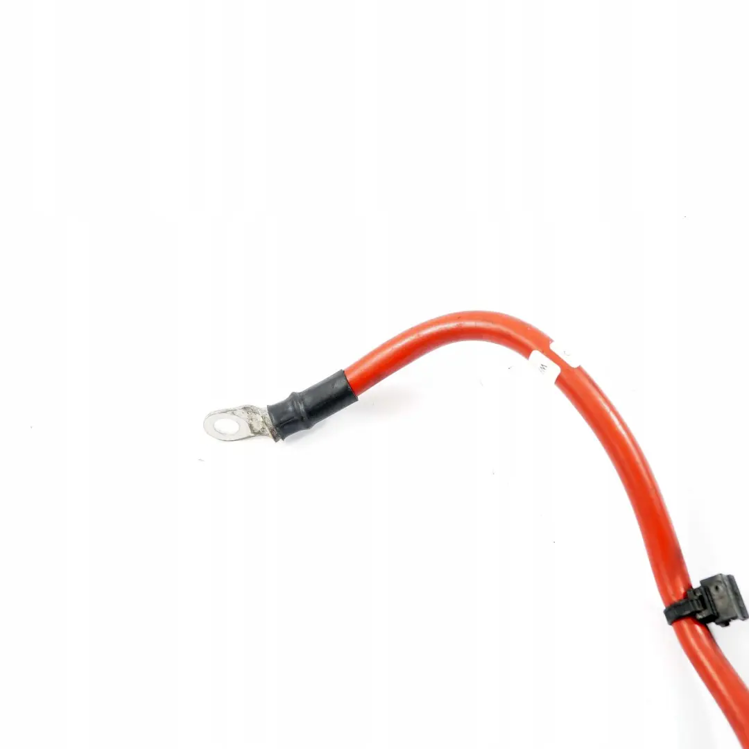 Mini Cooper R55 R56 Multifusible B Bateria Distribuidor Cable - SKU 9136726-2 - Número de pieza 9136726