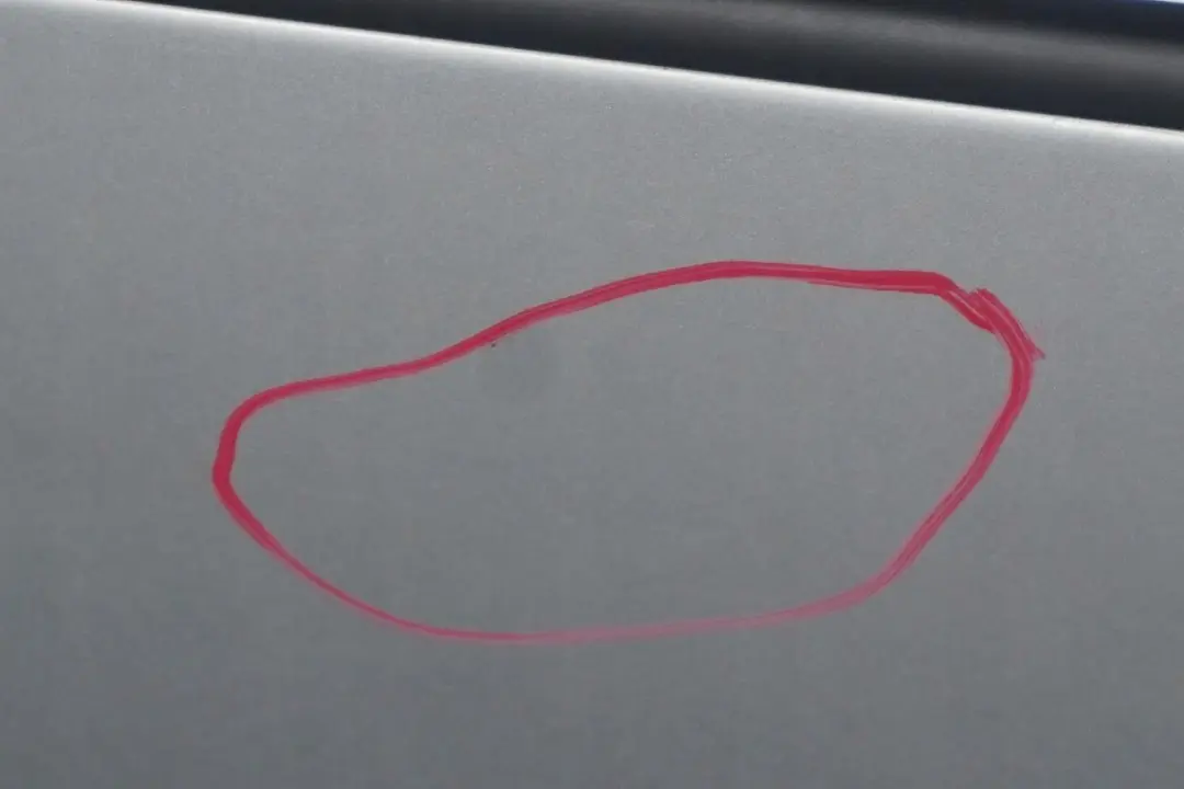 Drzwi prawy tył tylne titansilber do BMW E53 X5 o numerze 8256828 BMW E53 X5 Drzwi prawy tył tylne titansilber - SKU 8256828-TS3 - Numer Części 8256828