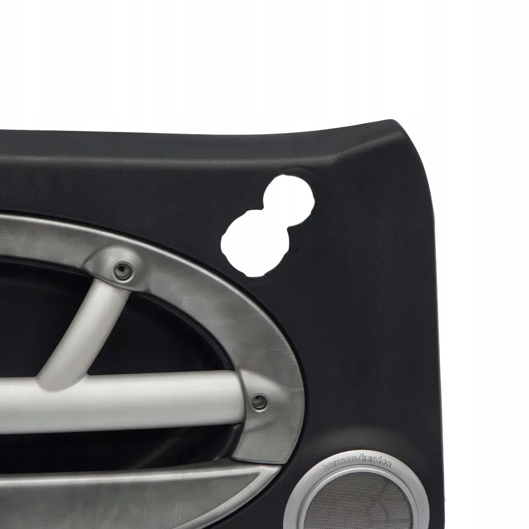 Mini Cooper R50 R53 Türverkleidung Dekor Vorn Links Harman Kardon Alloy Patina - SKU 7141279-1 - Teilenummer 7141279