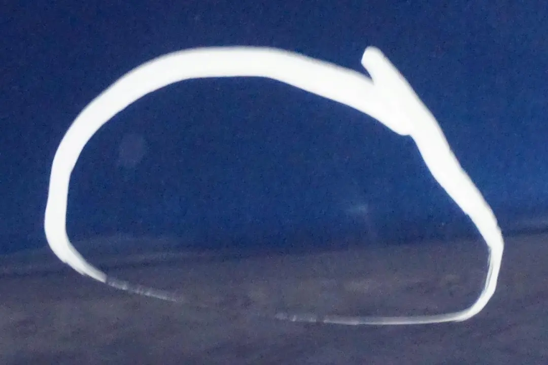 Puerta Delantera Derecha Azul Le Mans Blau Metalizado - 381 para BMW E87 E87N LCI con número de pieza 7191012 BMW E87 E87N LCI Puerta Delantera Derecha Azul Le Mans Blau Metalizado - 381 - SKU 7191012-LMB1 - Número de pieza 7191012