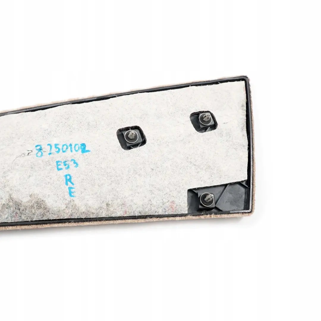 Mittenkonsole Parte Inferiore Posteriore Destra Beige Chiaro 2 per BMW X5 E53 con numero di parte 8250102 BMW X5 E53 Mittenkonsole Parte Inferiore Posteriore Destra Beige Chiaro 2 - SKU 8250102 - Numero di parte 8250102