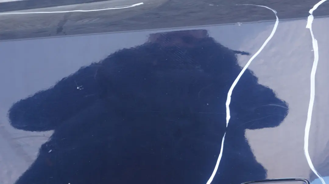 Trim Panel Bumper Rear Monacoblau Monaco Blue - A35 to BMW 1 Series E82 E88 with Part number 0036627 BMW 1 Series E82 E88 Trim Panel Bumper Rear Monacoblau Monaco Blue - A35 - SKU 0036627-MB - Part number 0036627