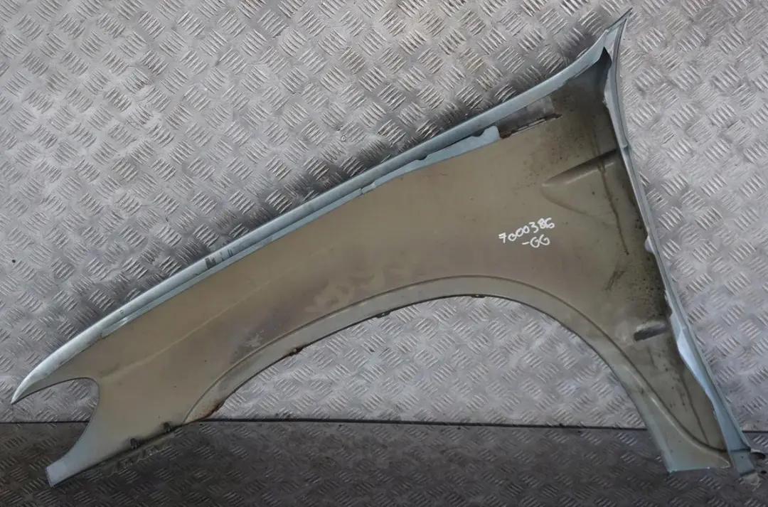 Panel Ala Defensa Delantera Derecha Verde Gris para BMW X5 E53 con número de pieza 7000386 BMW X5 E53 Panel Ala Defensa Delantera Derecha Verde Gris - SKU 7000386-GG - Número de pieza 7000386