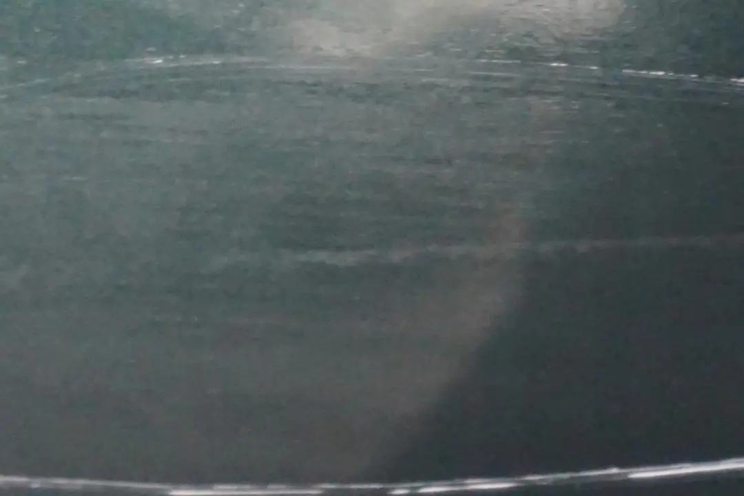 Cote Conducteur Panneau Laterale a L'Avant Gauche Aile Vert Oxford pour BMW X5 E53 à propos du numéro de pièce 7000385 BMW X5 E53 Cote Conducteur Panneau Laterale a L'Avant Gauche Aile Vert Oxford - SKU 7000385-OXF1 - Numéro de pièce 7000385