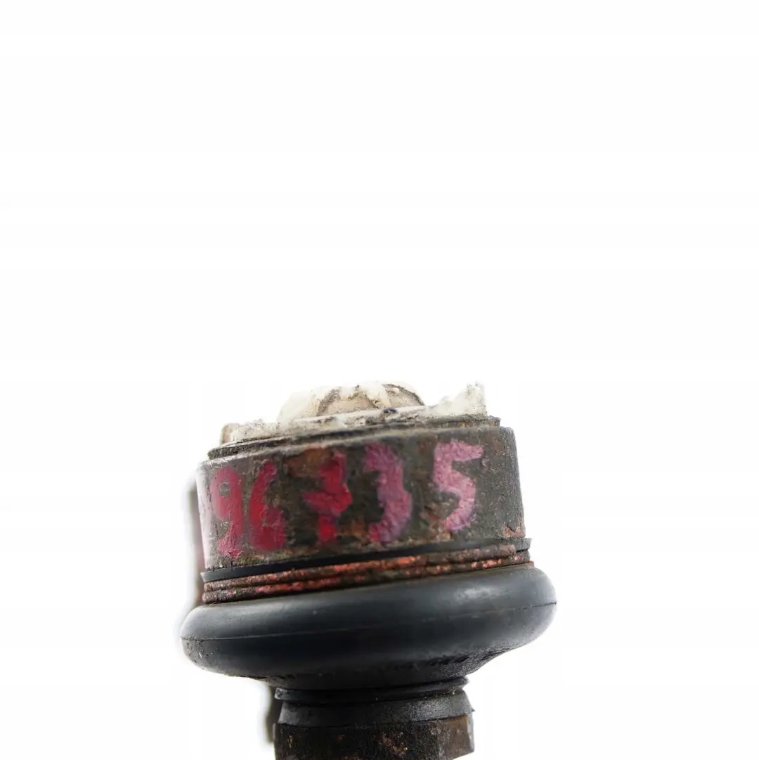 BMW X5 er E53 Hinterachse Pendelstütze Hinten - SKU 1096735 - Teilenummer 1096735