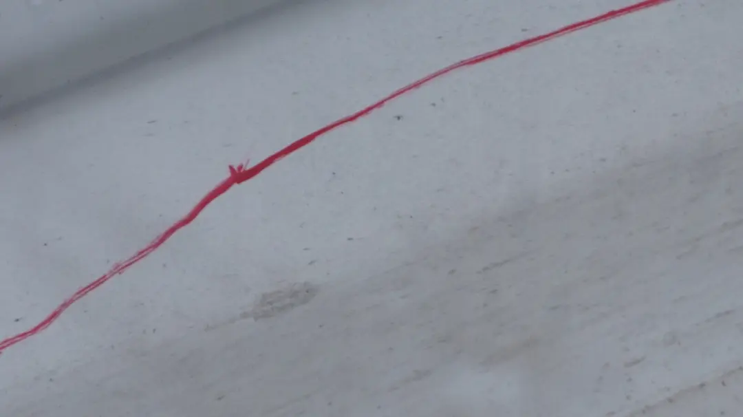 Copertura Esterna Destra Pepe Bianco per Mini Cooper R56 R57 7 con numero di parte 0430300 Mini Cooper R56 R57 7 Copertura Esterna Destra Pepe Bianco - SKU 0430300-PW - Numero di parte 0430300