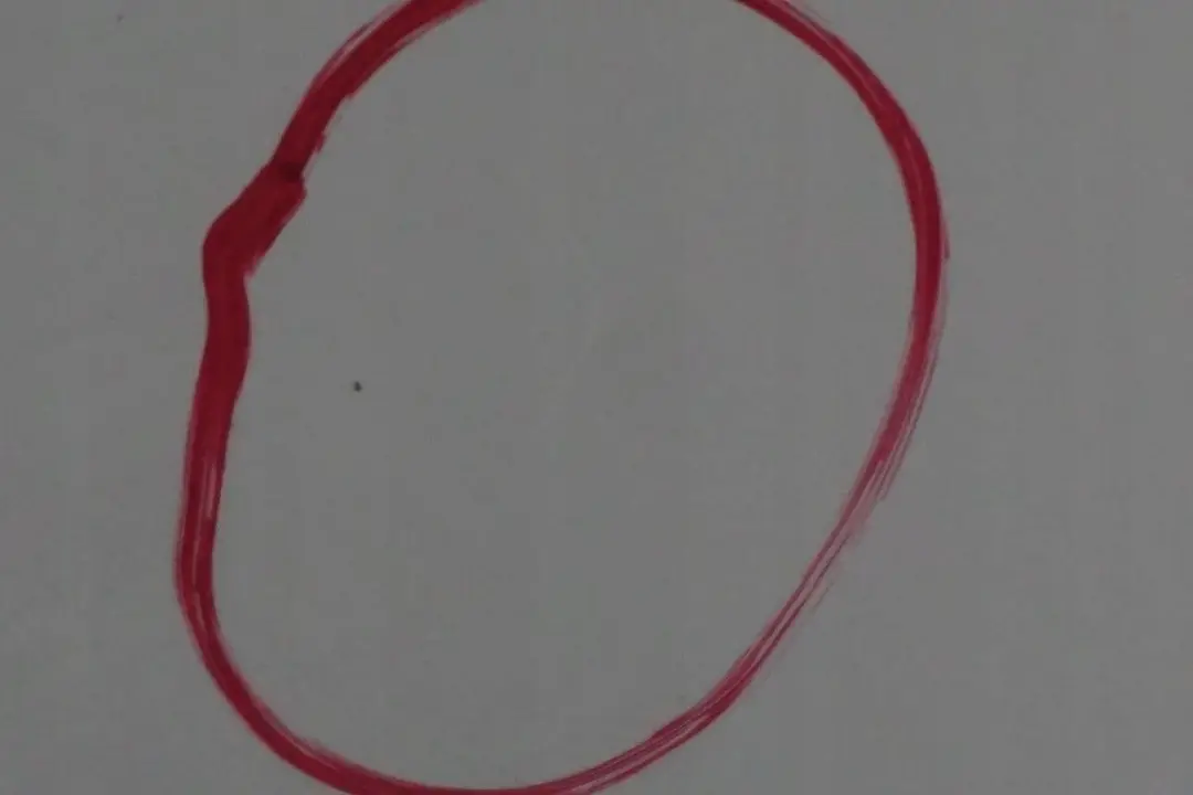 Puerta Delantera Derecha Alpinweiss Blanco Alpino - 300 para BMW E65 E66 con número de pieza 7202082 BMW E65 E66 Puerta Delantera Derecha Alpinweiss Blanco Alpino - 300 - SKU 7202082-AW - Número de pieza 7202082