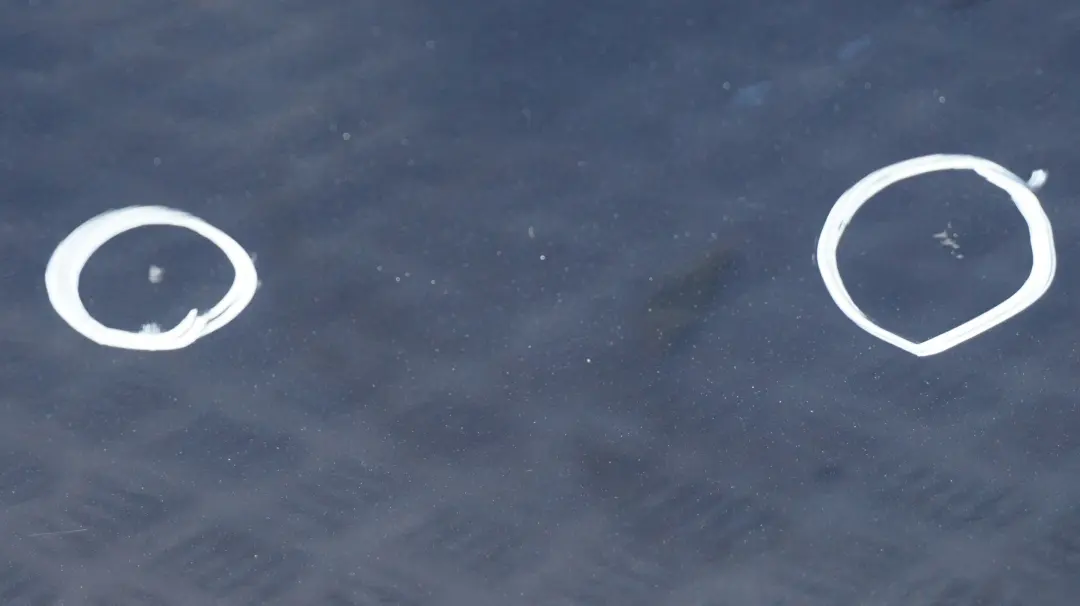 BMW E60 Drzwi lewe tylne tył Tiefseeblau - SKU 7202341-DSB - Numer Części 7202341