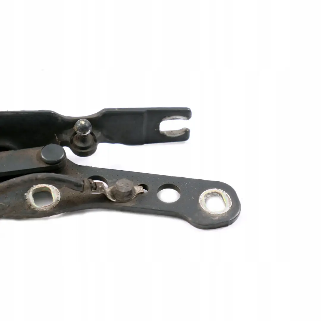BMW E46 Charniere Rabat a Gauche Vert Oxford Vert Metallique - 430 - SKU 7028577-OXF - Numéro de pièce 7028577