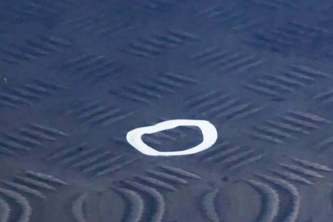 Door Front Left N/S Sydney Blau Blue Metallic - A19 to BMW 1 Series E87 2 with Part number 7191011 BMW 1 Series E87 2 Door Front Left N/S Sydney Blau Blue Metallic - A19 - SKU 7191011-SYD2 - Part number 7191011