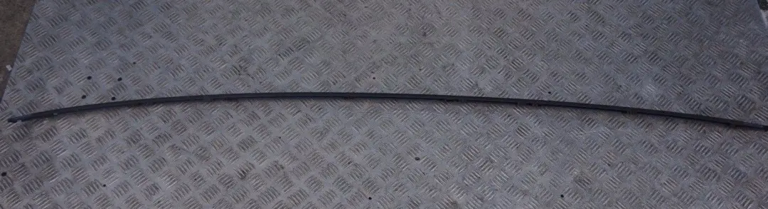 BMW 1 Series E81 E87 E87N Left Roof Moulding Railing Gutter N/S Sydneyblau Blue - SKU 0032701-SYD - Part number 0032701