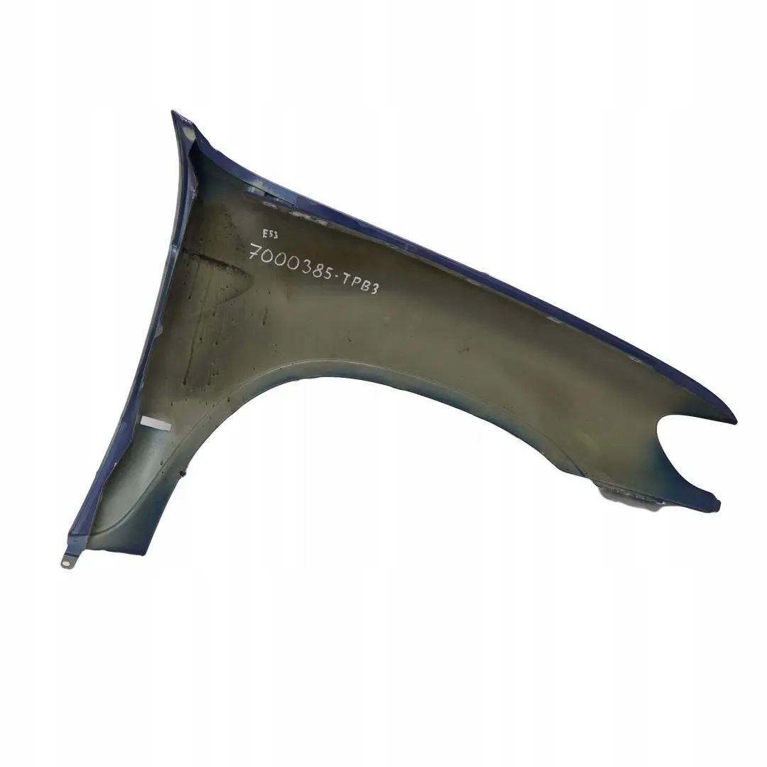 Pannello Laterale Anteriore Sinistra Parafango Blu Topazio Blu 364 per BMW X5 E53 con numero di parte 7000385 BMW X5 E53 Pannello Laterale Anteriore Sinistra Parafango Blu Topazio Blu 364 - SKU 7000385-TPB3 - Numero di parte 7000385