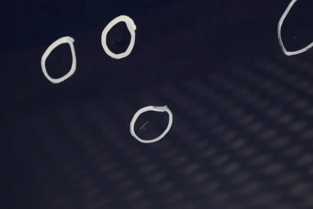 Verdeck Dachschale Vorne Montegoblau Blau - A51 für BMW 3 4 E93 F33 Cabrio mit Teilenummer 7400554 BMW 3 4 E93 F33 Cabrio Verdeck Dachschale Vorne Montegoblau Blau - A51 - SKU 7400554-MTB - Teilenummer 7400554