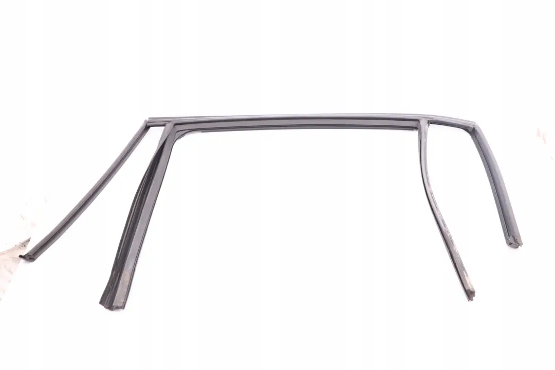 BMW 3 E91 Fensterführung links hinten Tür Dichtung 7119969 - SKU 7289663 - Teilenummer 7289663