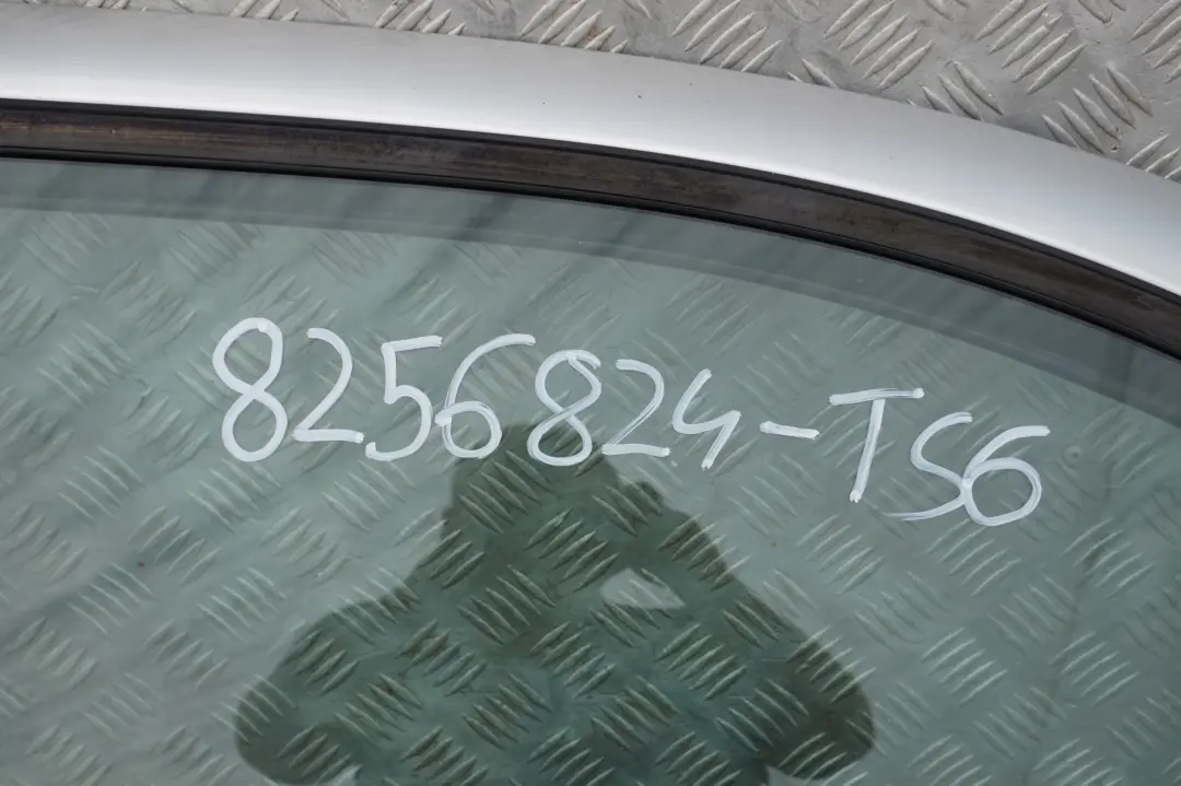 Passeggero Porta Anteriore Destra Argento-Titanio Titan 35 per BMW X5 6 E53 con numero di parte 8256824 BMW X5 6 E53 Passeggero Porta Anteriore Destra Argento-Titanio Titan 35 - SKU 8256824-TS6 - Numero di parte 8256824