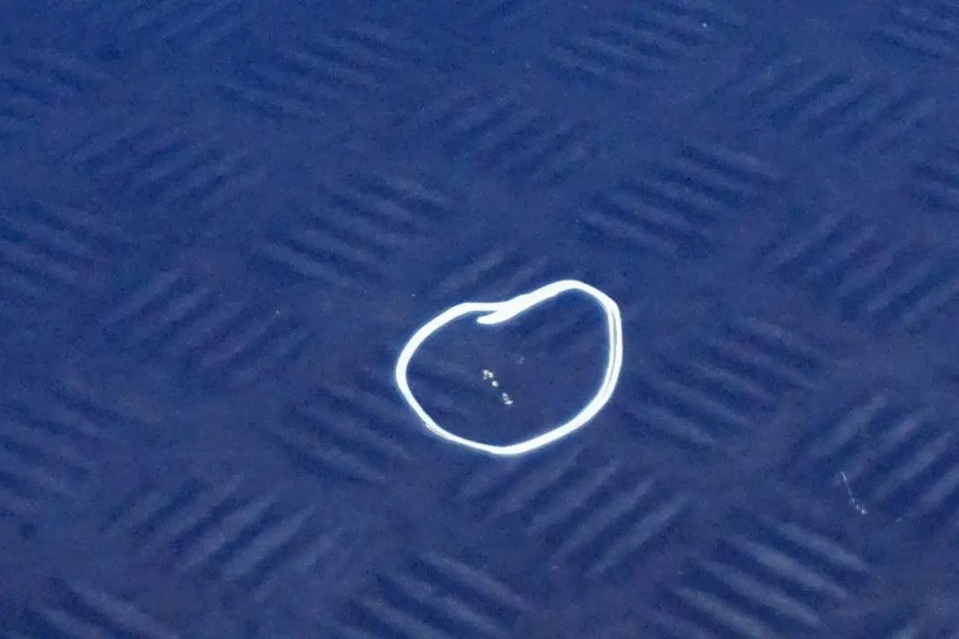 Door Front Right O/S Lightning Blue Metallic to BMW MINI Cooper 11 R55 R56 R57 R58 with Part number 2755936 BMW MINI Cooper 11 R55 R56 R57 R58 Door Front Right O/S Lightning Blue Metallic - SKU 2755936-LB11 - Part number 2755936