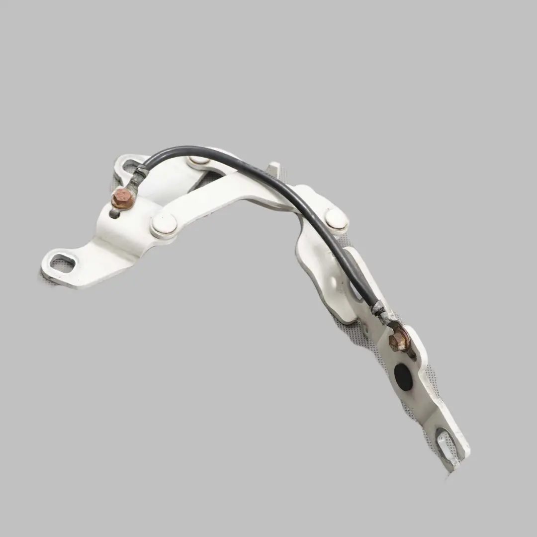 BMW E81 E87 A Gauche Charniere Rabat Blanc des Alpes Blanc - SKU 7191213-AW - Numéro de pièce 7060559