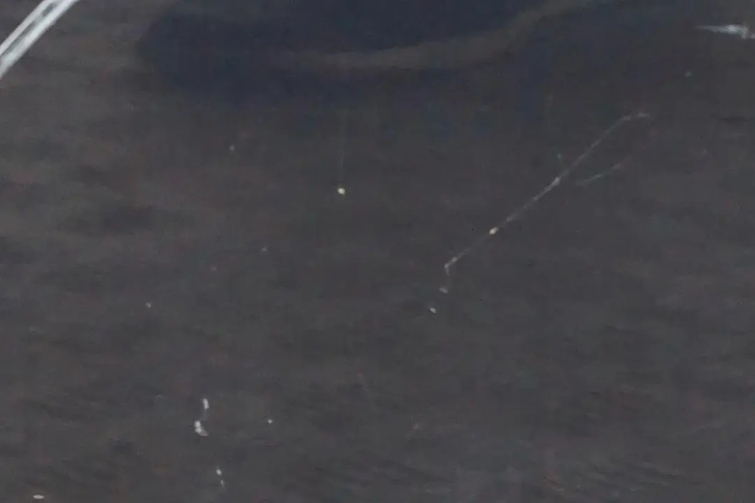 Porta Anteriore Destra Blu Monaco Blu Metallizzato - A35 per BMW E60 E61 Touring con numero di parte 7202340 BMW E60 E61 Touring Porta Anteriore Destra Blu Monaco Blu Metallizzato - A35 - SKU 7202340-MB1 - Numero di parte 7202340