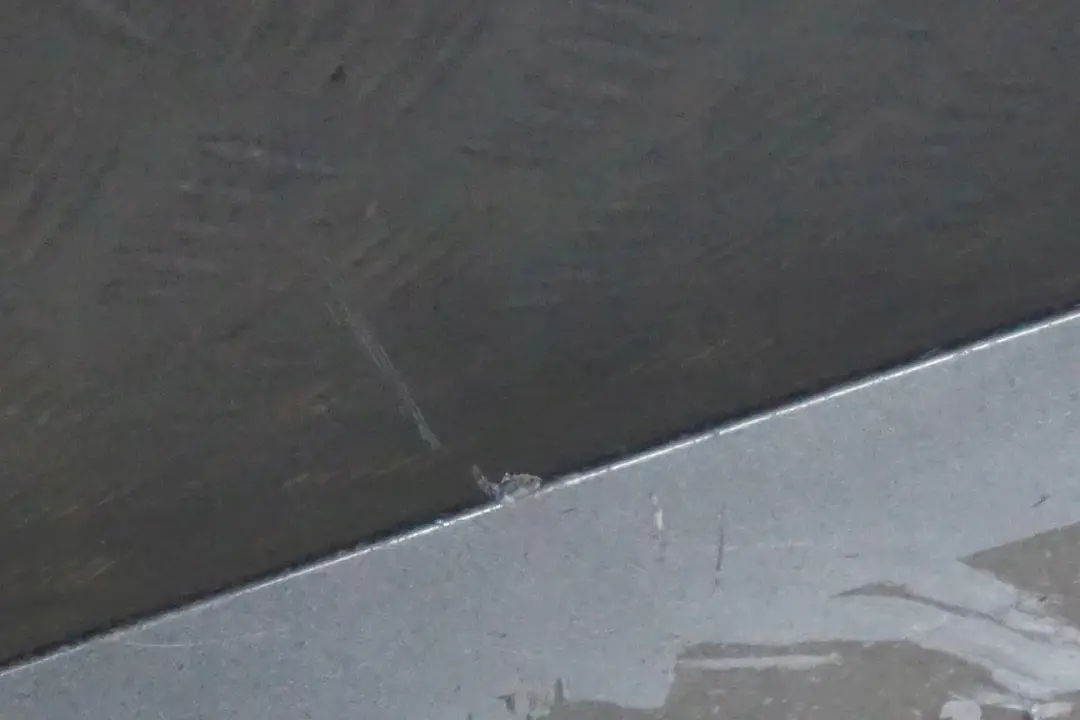 Delantero Izquierdo Sill Strip Faldon Lateral Gris Mineralgrau - B39 para BMW Z4 E89 con número de pieza 0037523 BMW Z4 E89 Delantero Izquierdo Sill Strip Faldon Lateral Gris Mineralgrau - B39 - SKU 0037523-MG - Número de pieza 0037523