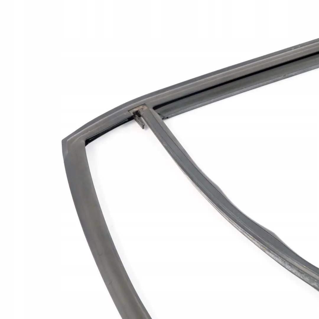  .*BMW X1 E84 Guarnizione Guida Finestrino Destro Porta Posteriore - SKU 2990320 - Numero di parte 2990320