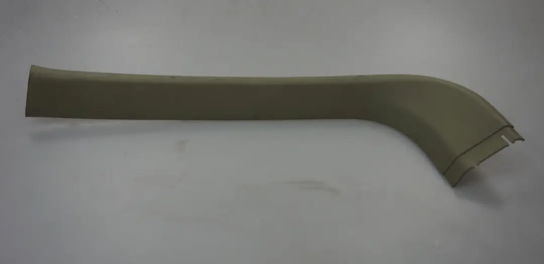 Rivestimento Portellone Posteriore Destra Interno Verde Pastello per BMW X5 E53 con numero di parte 8402618 BMW X5 E53 Rivestimento Portellone Posteriore Destra Interno Verde Pastello - SKU 8266652 - Numero di parte 8402618
