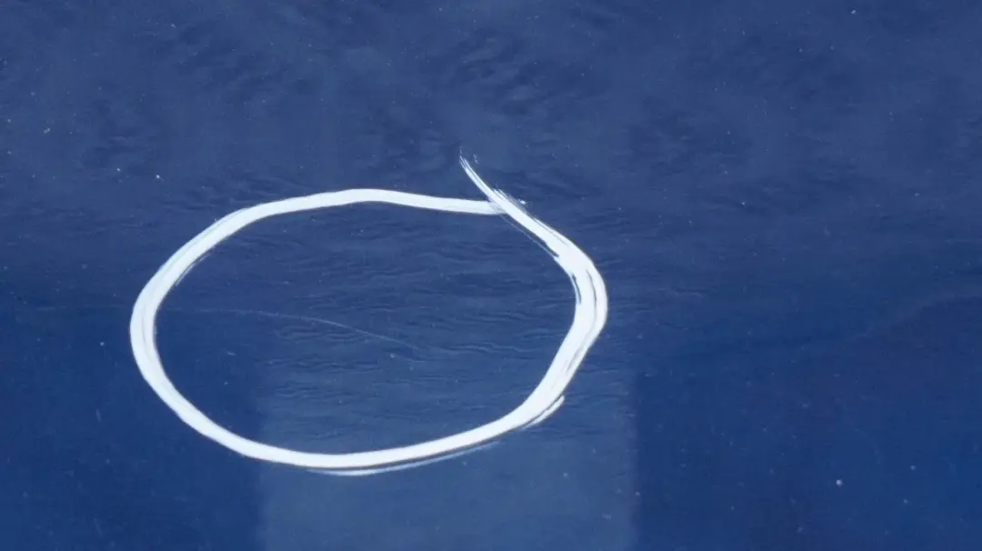 Drzwi prawe przednie przód Topasblau do BMW E53 X5 o numerze 8256824 BMW E53 X5 Drzwi prawe przednie przód Topasblau - SKU 8256824-TPB - Numer Części 8256824