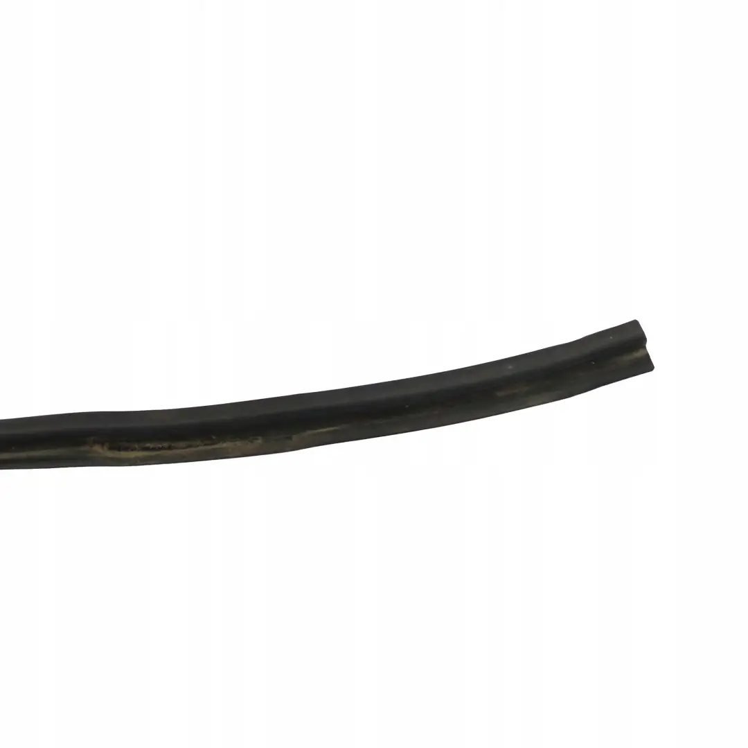 BMW X1 Series E84 Windscreen Windshield Window Moulding Seal Strip - SKU 7307896 - Part number 7307896