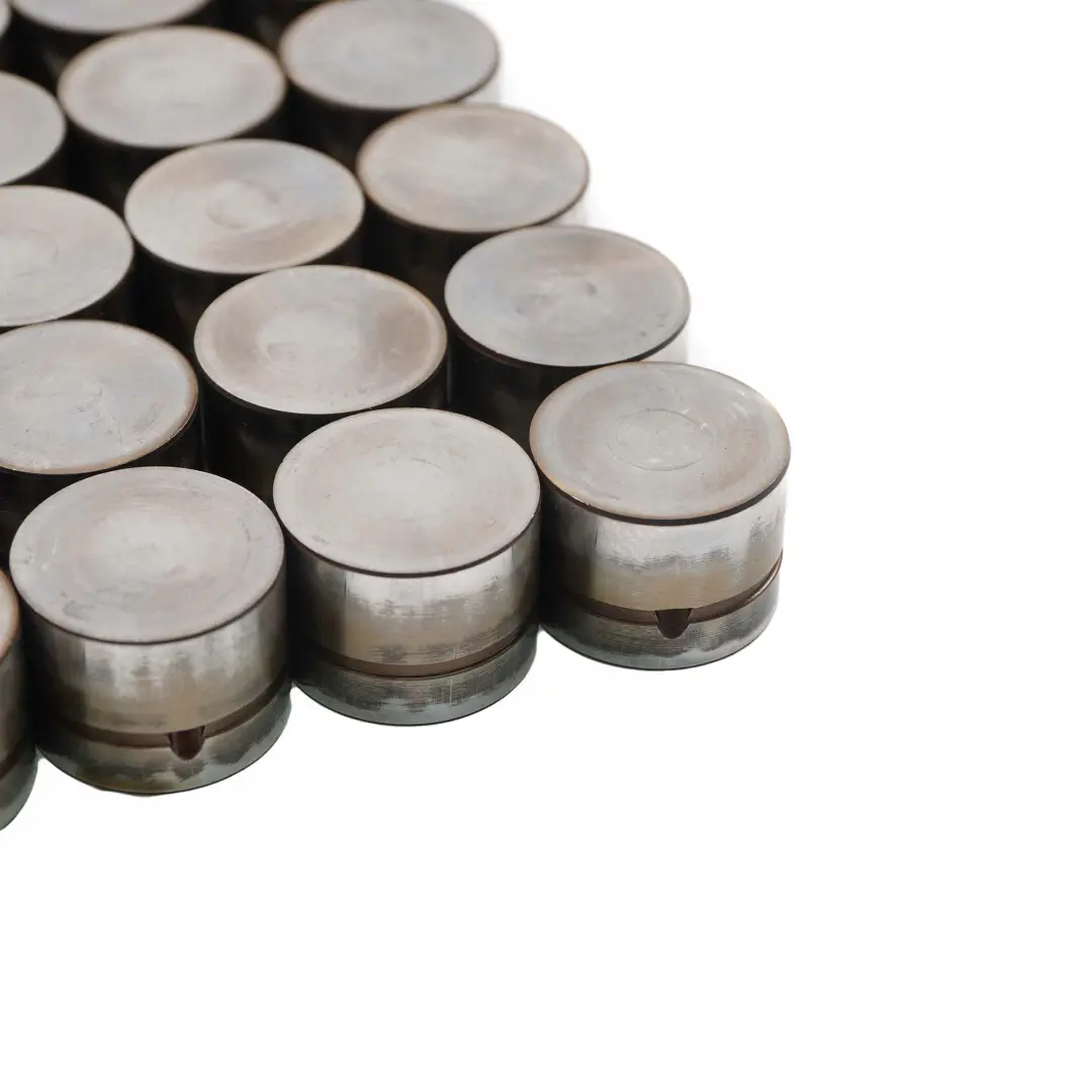 M54 Camshaft Hydraulic Valve Tappet Set to BMW 5 7 X3 X5 E53 E60 E65 E83 with Part number 1748884 BMW 5 7 X3 X5 E53 E60 E65 E83 M54 Camshaft Hydraulic Valve Tappet Set - SKU 1748884-1 - Part number 1748884