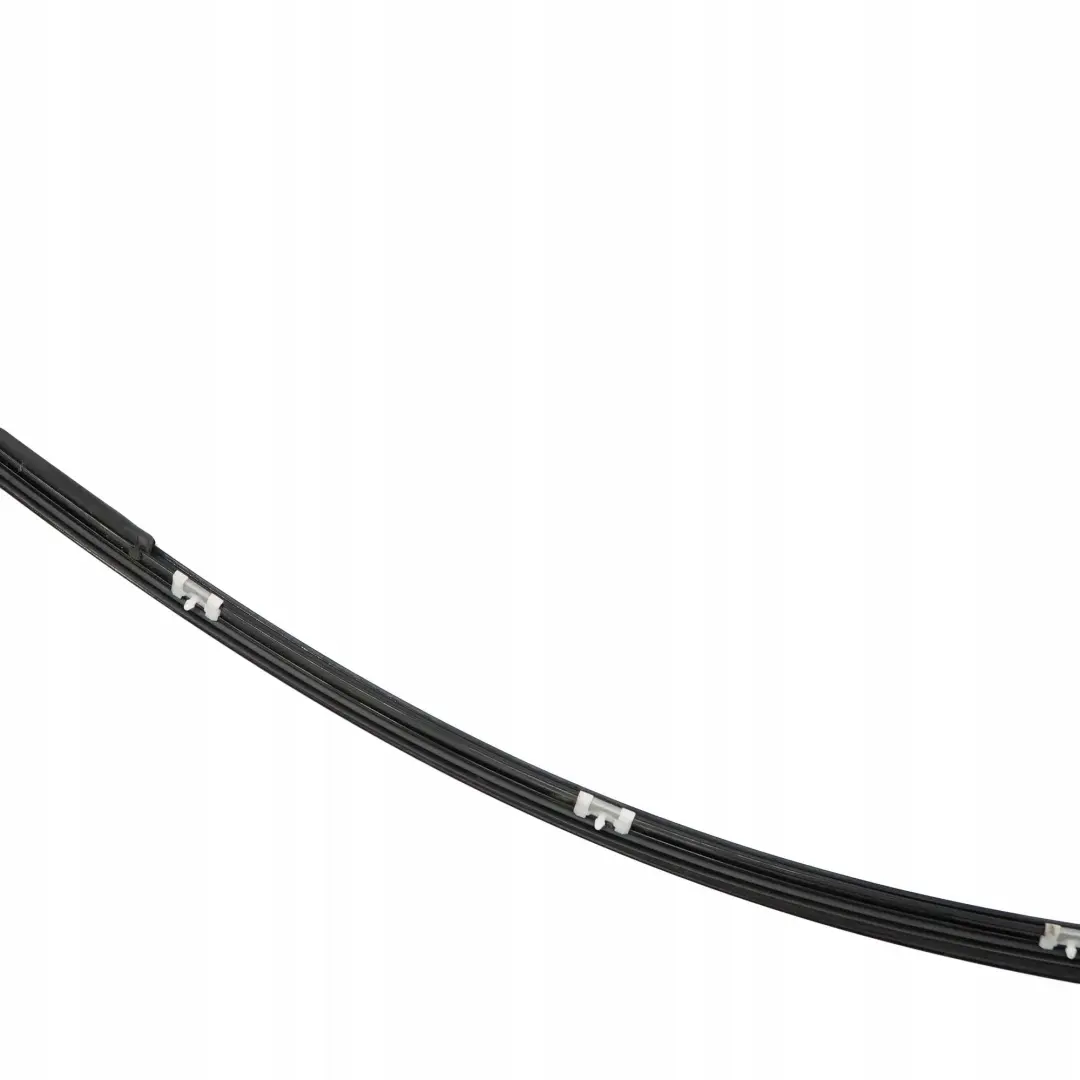BMW 1 SERIES E82 COUPE LEFT N/S ROOF FRAME STRIP GASKET BLACK GLANZSCHWARZ - SKU 2996901 - Part number 2996901