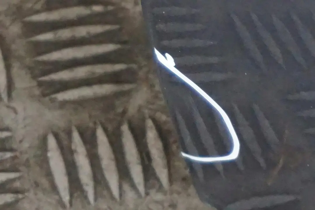 Puerta Trasera Izquierda Stahlgrau Gris Acero Metalizado - 400 para BMW E53 2 con número de pieza 8256827 BMW E53 2 Puerta Trasera Izquierda Stahlgrau Gris Acero Metalizado - 400 - SKU 8256827-STH2 - Número de pieza 8256827