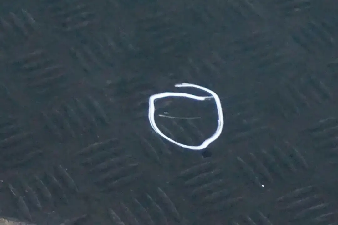 Drzwi lewe British Racing Green do MINI Cooper R56 o numerze 2755935 MINI Cooper R56 Drzwi lewe British Racing Green - SKU 2755935-BRG5 - Numer Części 2755935