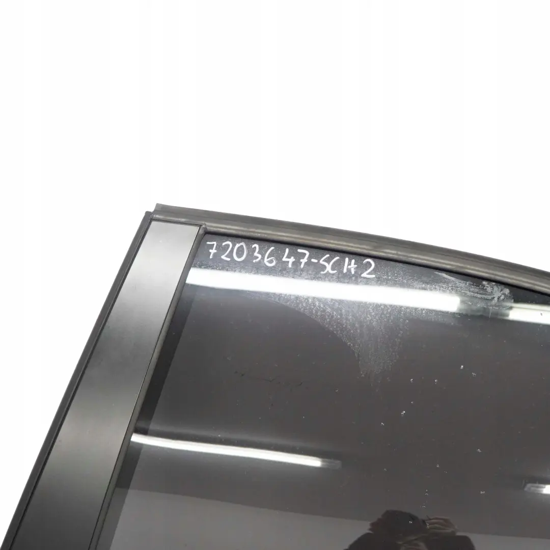 Porta Posteriore Sinistra Nero 2 - 668 per BMW E90 Berlina con numero di parte 7203647 BMW E90 Berlina Porta Posteriore Sinistra Nero 2 - 668 - SKU 7203647-SCH2 - Numero di parte 7203647