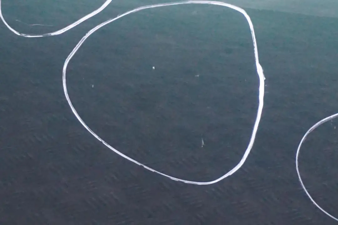 Gauche Britanique Vert pour Mini Cooper 5 R55 R56 R57 R58 R59 Porte avant à propos du numéro de pièce 2755935 Mini Cooper 5 R55 R56 R57 R58 R59 Porte avant Gauche Britanique Vert - SKU 2755935-BRG5 - Numéro de pièce 2755935