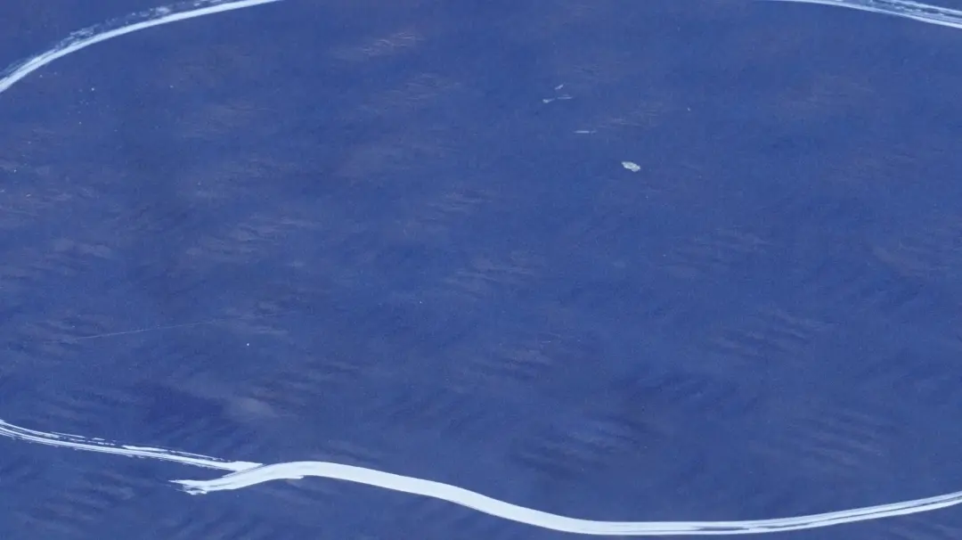 Conducteur Porte Arriere Gauche Bleu Montego Bleu Metallise pour BMW E90 LCI à propos du numéro de pièce 7203647 BMW E90 LCI Conducteur Porte Arriere Gauche Bleu Montego Bleu Metallise - SKU 7203647-MTB5 - Numéro de pièce 7203647