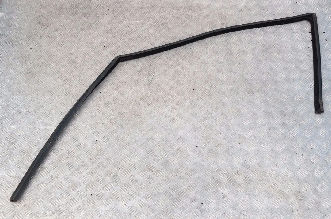 Binario Finestra Anteriore Sinistra 5132 per BMW X5 E53 con numero di parte 7020577 BMW X5 E53 Binario Finestra Anteriore Sinistra 5132 - SKU 7020577 - Numero di parte 7020577