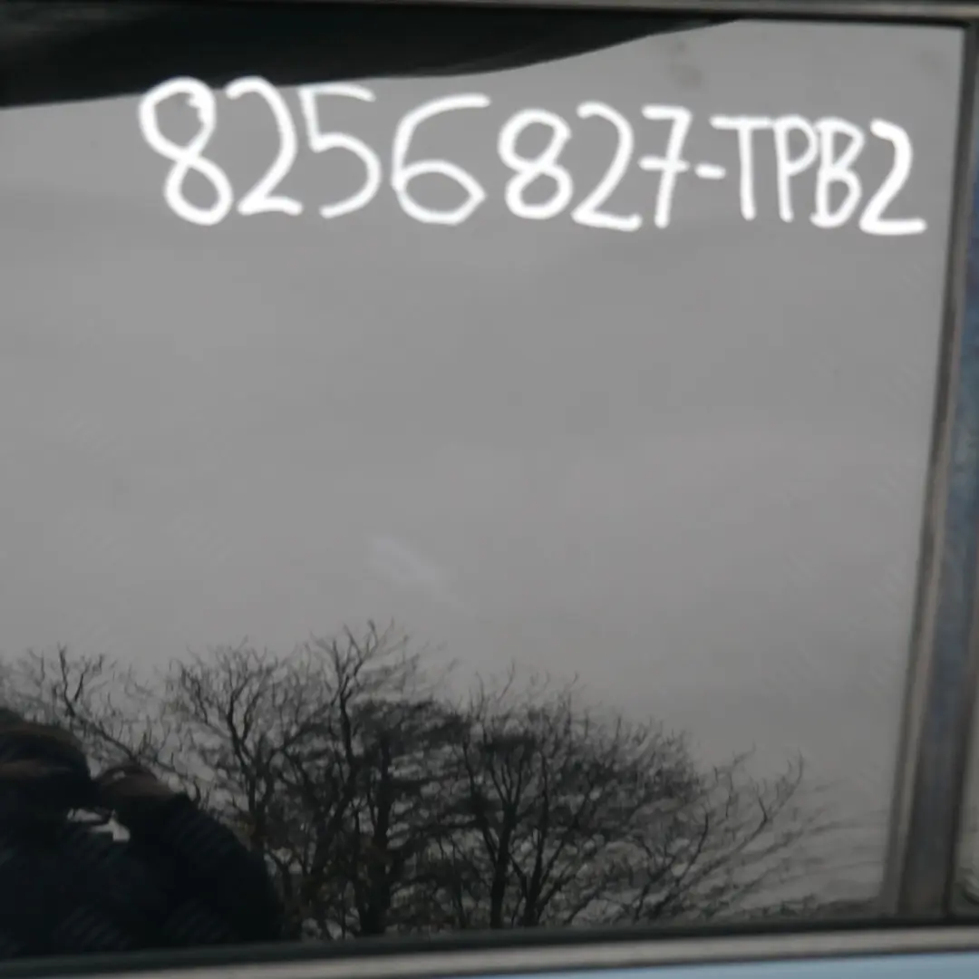 Drzwi lewy tył tylne lewe topasblau 364 do BMW E53 X5 o numerze 8256827 BMW E53 X5 Drzwi lewy tył tylne lewe topasblau 364 - SKU 8256827-TPB2 - Numer Części 8256827