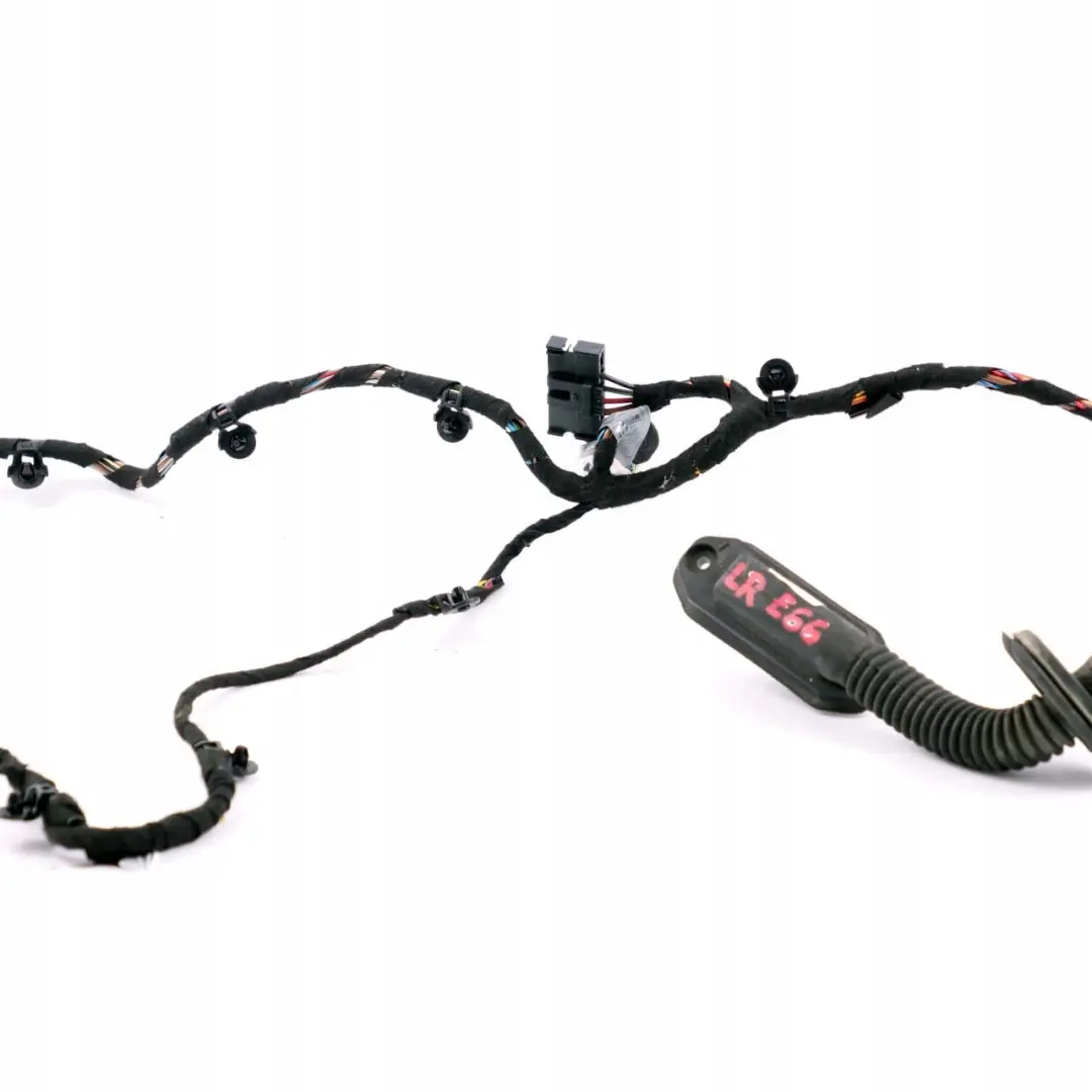 BMW 7 E66 Rear Left Door N/S Wiring Harness Loom Module Carrier - SKU 6950384 - Part number 6950384