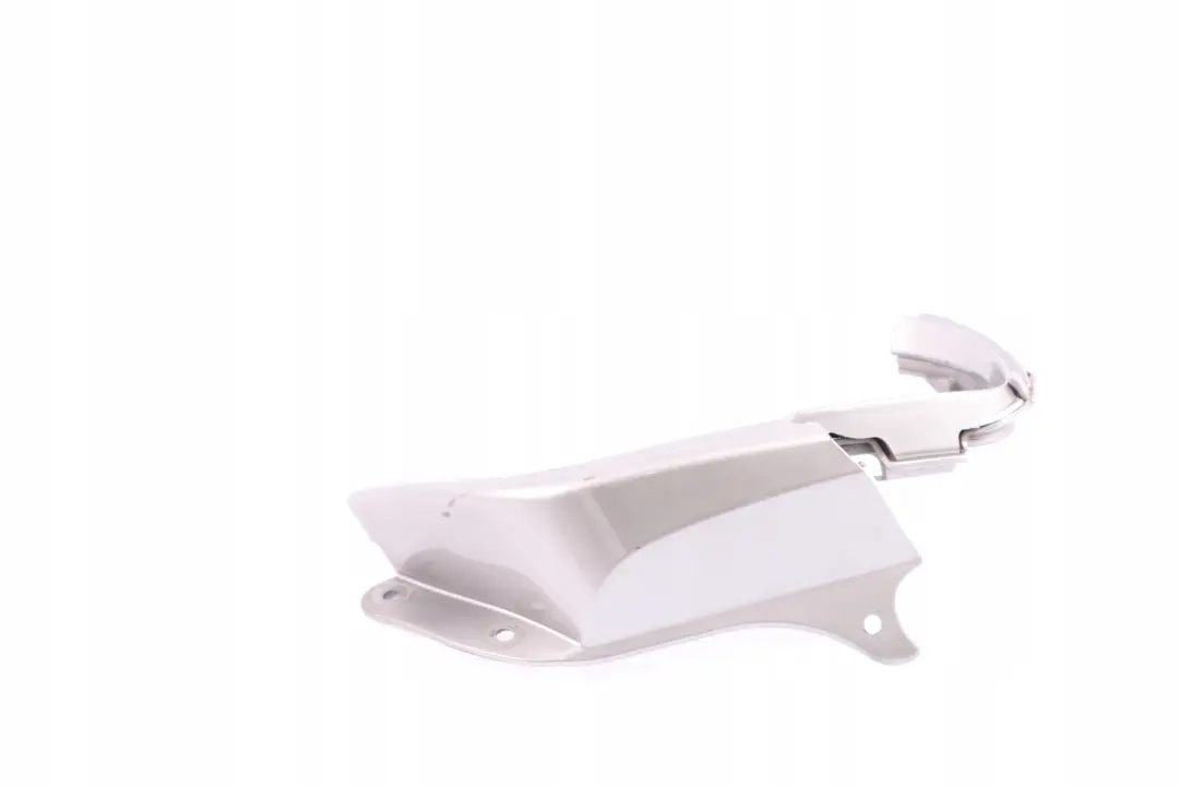 Frame Cover Light Rear Left N/S Sterlingrau Silver to BMW Z4 Series E85 with Part number 0031017 BMW Z4 Series E85 Frame Cover Light Rear Left N/S Sterlingrau Silver - SKU 0031017-STR - Part number 0031017