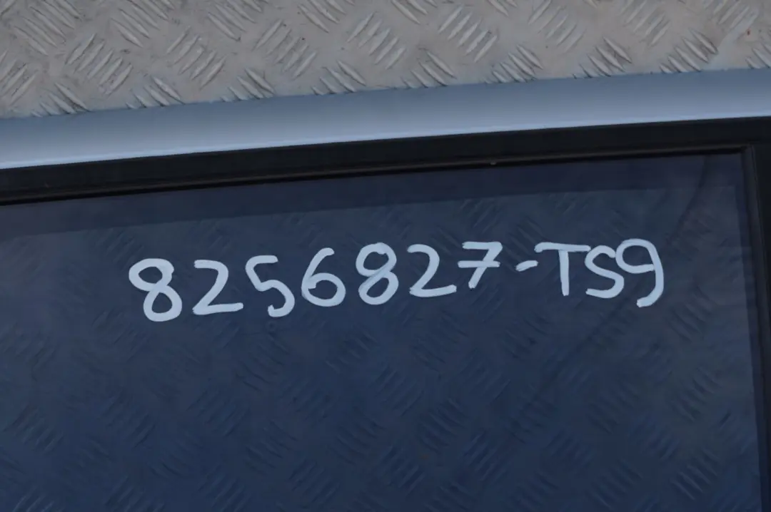 BMW E53 X5 Drzwi lewy tył tylne lewe titansilber - SKU 8256827-TS9 - Numer Części 8256827