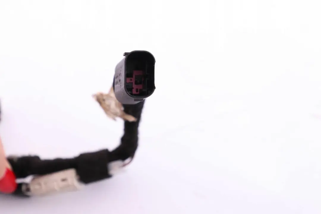 Hayon de Harnais eclairage de la Plaque pour Mini Cabriolet R52 à propos du numéro de pièce 6953005 Mini Cabriolet R52 Hayon de Harnais eclairage de la Plaque - SKU 6953005 - Numéro de pièce 6953005