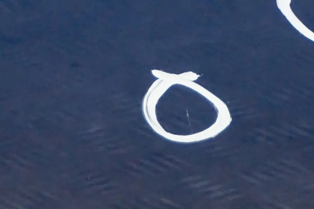 Door Front Left N/S Sydney Blau Blue Metallic - A19 to BMW 1 Series E87 2 with Part number 7191011 BMW 1 Series E87 2 Door Front Left N/S Sydney Blau Blue Metallic - A19 - SKU 7191011-SYD2 - Part number 7191011