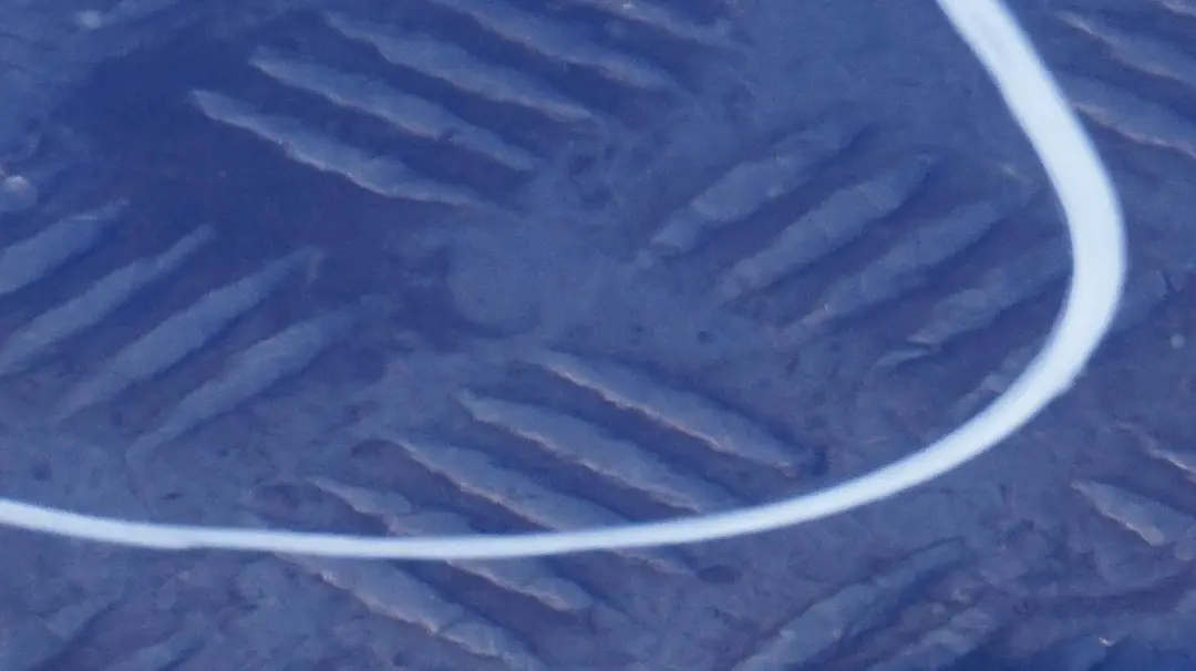 Lato Porta Posteriore Sinistra Montegoblau Blu Metallico per BMW E90 LCI 5 con numero di parte 7203647 BMW E90 LCI 5 Lato Porta Posteriore Sinistra Montegoblau Blu Metallico - SKU 7203647-MTB5 - Numero di parte 7203647